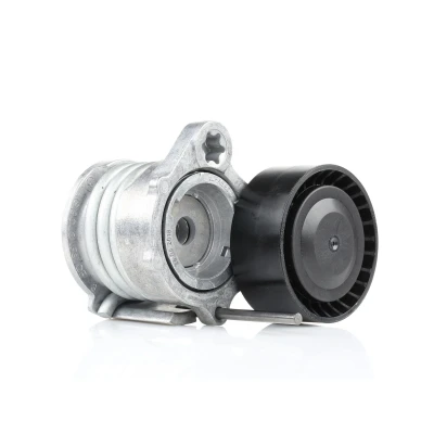 Imagem de FEBI BILSTEIN 32248 Tensor da Correia BMW: 3 Sedan