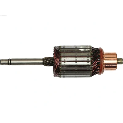 Imagem de AS PL SA4021 Induzido, motor de arranque