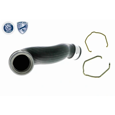 Imagem de VAICO V10 5299 Mangueira Para o Turbocompressor Borracha com entretela grampo VOLKSWAGEN: Passat B5 GP Variant, Sedan