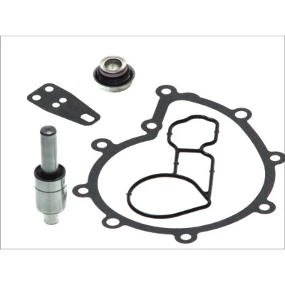 Imagem de DT Spare Parts 1.31121 Kit de reparação, bomba água