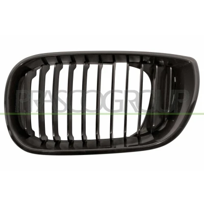 Imagem de BLIC 6502 07 0061993BP Grelha de Radiador à frente, lado esquerdo preto BMW: 3 Sedan, Touring, Cabrio