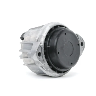 Imagem de DELPHI TEM099 Suporte, motor BMW: 1 Hatchback, Coupe, 3 Touring