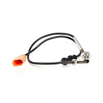 Imagem de DELPHI TS30245 12B1 Sensor SEAT: Ibiza 4 Sportcoupe,