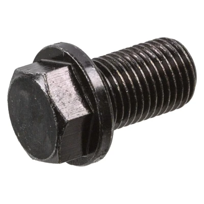 Imagem de FEBI BILSTEIN 194278 Bujão do Carter Aço 17 sem retentor KIA: RIO 3