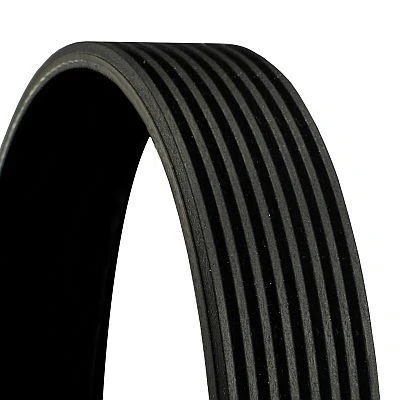 Imagem de CONTITECH 8PK1670 Correia trapezoidal estriada 1670 8