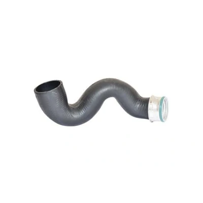 Imagem de BUGIAD 82609 Mangueira Para o Turbocompressor ACM (borracha poliacrílica) com braçadeira AUDI: A4 B6 Avant, Sedan, A6 C5 Avant
