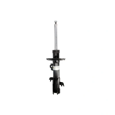 Imagem de BILSTEIN 22 317360 Amortecedor