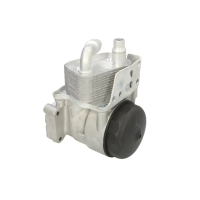 Imagem de THERMOTEC D4B028TT Radiador de Óleo BMW: 3 Sedan, Touring, 5 Sedan
