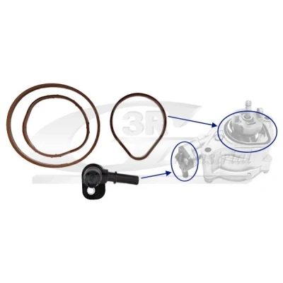 Imagem de 3RG 74801 Kit de reparação para bomba vácuo