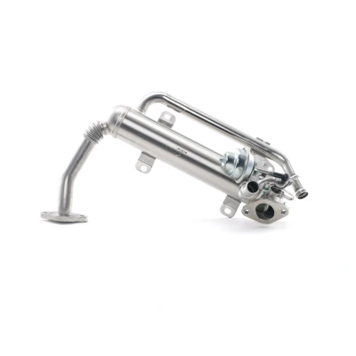 Imagem de NRF 48306 Radiador EGR VOLKSWAGEN: Golf 5, Passat B6 Sedan, Touran I, AUDI: A3 Sportback