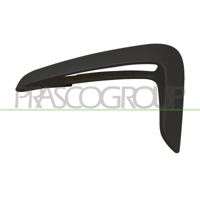 Imagem de PRASCO BM3901424 Friso, guarda lamas à frente, lado esquerdo