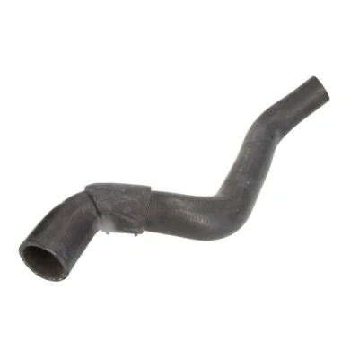 Imagem de THERMOTEC DWR164TT Mangueira de Radiador em baixo RENAULT: 19 II Hatchback, I Chamade