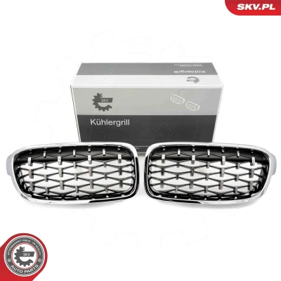 Imagem de ESEN SKV 66SKV130 Grelha de Radiador côr prata BMW: 3 Touring, Sedan