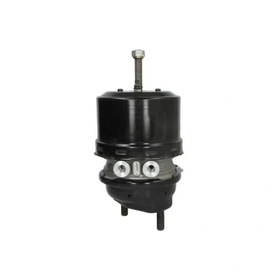 Imagem de Cilindro do travão combinado WABCO 9254601000