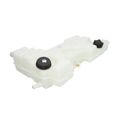 Imagem de THERMOTEC DBRE002TT Depósito de Compensação Refrigerante 8 VOLVO: FL 6