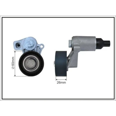 Imagem de CAFFARO 100399SP Tensor, correia trapezoidal estriada PEUGEOT: 406 Carrinha, 206 Hatchback, Sedan, CITROËN: Berlingo / First I
