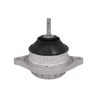 Imagem de REINHOCH RH11 0002 Suporte, motor à frente, lado direito Apoio hidráulico Azul AUDI: A3 Hatchback, A4 B5 Avant, A6 C5 Sedan