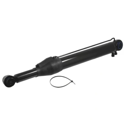 Imagem de FEBI BILSTEIN 33953 Cilindro de levantamento, cabina