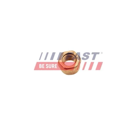 Imagem de FAST FT84702 Porca, colector de escape VOLKSWAGEN: Golf 3, 4, TRANSPORTER 4 Bus, FIAT: Punto Evo Hatchback, I Croma Hatchback