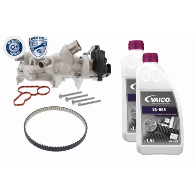 Imagem de VAICO V10 50114 XXL Bomba de Água + Kit correia Distribuição com junta, dentada, líquido refrigeração parafusos