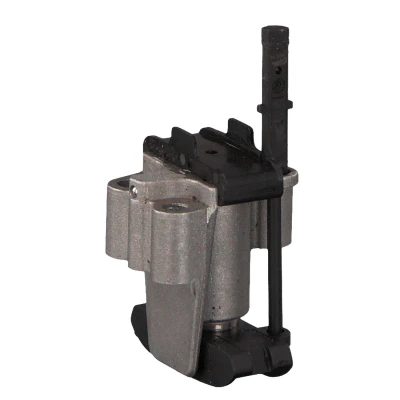 Imagem de FEBI BILSTEIN 37221 Tensor, corrente de distribuição CITROËN: Jumper II Van, FORD: S Max Mk1
