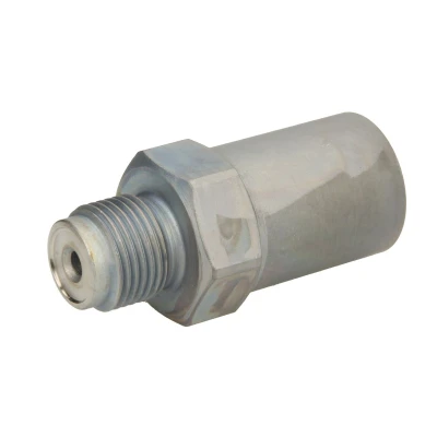 Imagem de Válvula de descompressão, sistema Common Rail BOSCH 1 110 010 034