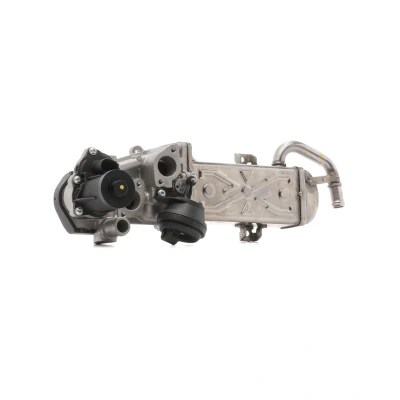 Imagem de DRI 717730099 Módulo RGE (recirculação dos gases de escape) com juntas, radiador da recirculação escape VOLKSWAGEN: Polo V Hatchback
