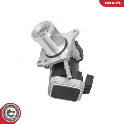 Imagem de Válvula de recirculação dos gases escape ESEN SKV 14SKV310