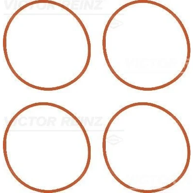Imagem de REINZ 11 36956 01 Jogo de juntas, colector admissão PEUGEOT: 307 SW, 206 Hatchback, 207 CITROËN: C3 I C2 Hatchback