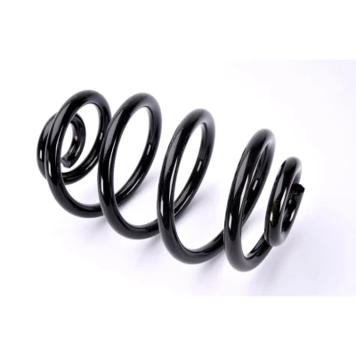 Imagem de Magnum Technology SX105MT Mola de suspensão Eixo traseiro helicoidal