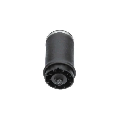 Imagem de KAVO PARTS SAS 10035 Mola pneumática, chassis Eixo traseiro esquerdo BMW: X5