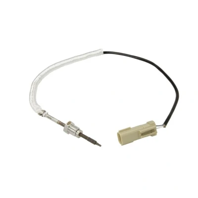 Imagem de MAGNETI MARELLI 172000497010 Sensor