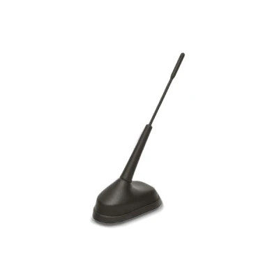 Imagem de BERU A202 Antena