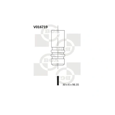 Imagem de BGA V016719 Válvula de Escape AUDI: A3 Hatchback, SEAT: Ibiza 4