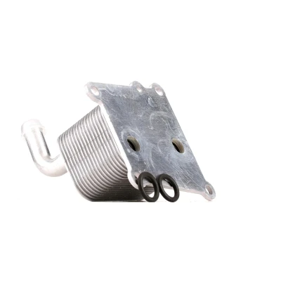 Imagem de NRF 31219 Radiador de Óleo FORD: Focus Mk1 Hatchback, Van / Carrinha, Fiesta Mk4