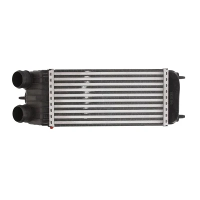 Imagem de THERMOTEC DAC003TT Intercooler 300 157 80 CITROËN: C3 I Hatchback