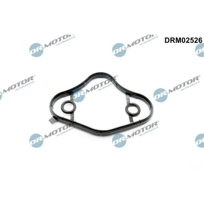 Imagem de Junta, bomba de combustível Dr.Motor Automotive DRM02526