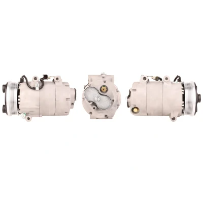 Imagem de LUCAS ACP490 Compressor PAG 46 R 134a com juntas FORD: Focus 2, C Max, Max