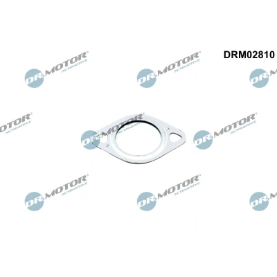 Imagem de DR.MOTOR AUTOMOTIVE DRM02810 Juntas AUDI: A6 C6 Avant