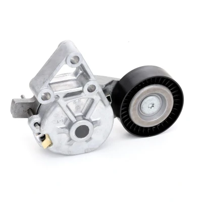 Imagem de INA 534 0132 30 Tensor, correia trapezoidal estriada SEAT: Leon I Hatchback, AUDI: A3 VOLKSWAGEN: Golf 4 endado, norauto, oscaro, mister