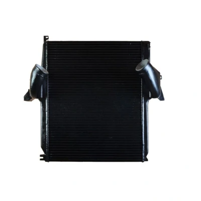 Imagem de Intercooler NRF 30021
