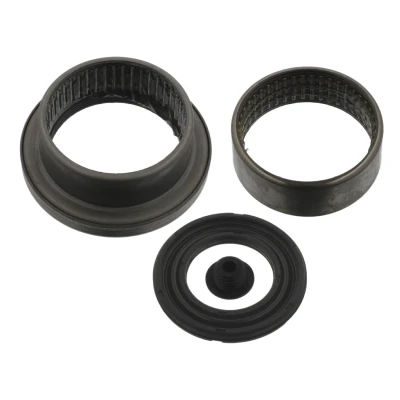 Imagem de FEBI BILSTEIN 36065 Jogo de reparação, cárter do Eixo traseiro esquerdo, direito PEUGEOT: 206 Hatchback