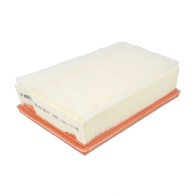 Imagem de BOSCH F 026 400 738 Filtro de ar 67 163 234 Cartucho filtrante RENAULT: Koleos I