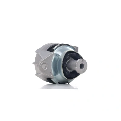 Imagem de DELPHI TEM090 Suporte, motor OPEL: Astra H Caravan, Hatchback, G CC