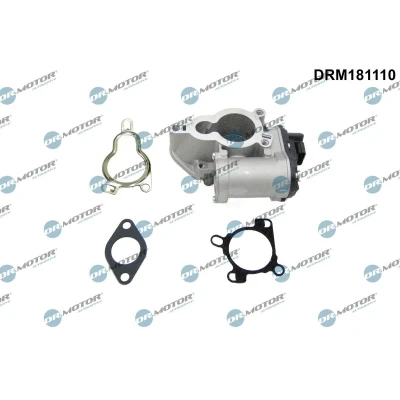 Imagem de DR.MOTOR AUTOMOTIVE DRM181110 Válvula EGR elétrico RENAULT: MEGANE 3, ESPACE 4, 3 Coupe, NISSAN: Qashqai / Qashqai+2 I, OPEL: Vivaro A Van