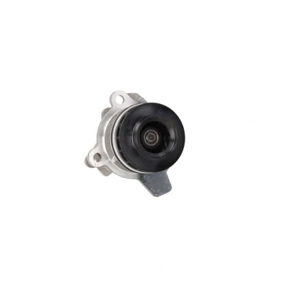 Imagem de AISIN WPN 930 Bomba de água NISSAN: Pathfinder 3, NP300 Navara Pick up