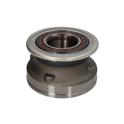 Imagem de Cubo de roda SNR HDS242
