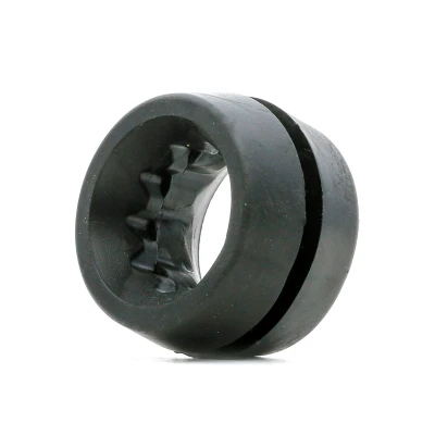 Imagem de FAST FT13053 Suporte, caixa do filtro de ar FIAT: Punto II Hatchback, 500 Grande OPEL: Corsa D Hatchback