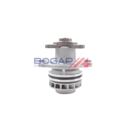 Imagem de BOGAP N4234109 Bomba de água