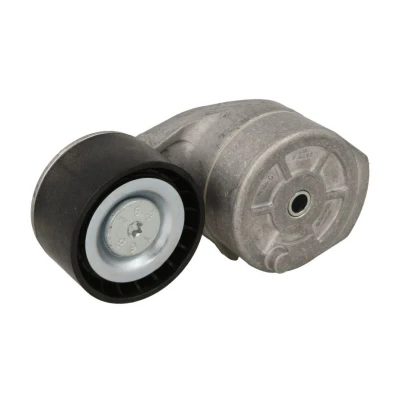 Imagem de SKF VKMCV 56011 Polia Tensora